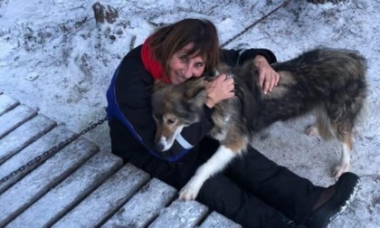 Investita da un'auto mentre attraversa la strada con il cane, Flaviana Beretta muore a 62 anni