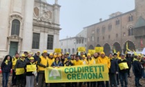 Agricat, Coldiretti Cremona: sblocco degli indennizzi per 19mila agricoltori