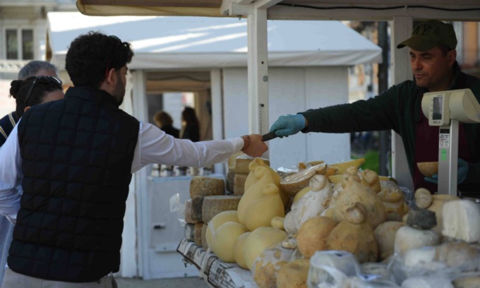 “Formaggi & Sorrisi”: Cremona celebra le eccellenze casearie italiane tra degustazioni, mostre e showcooking