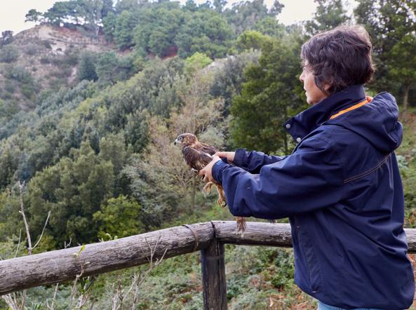 La Signora dei Falchi Anna Giordano a Cremona, sarà ospite del Museo di Storia Naturale