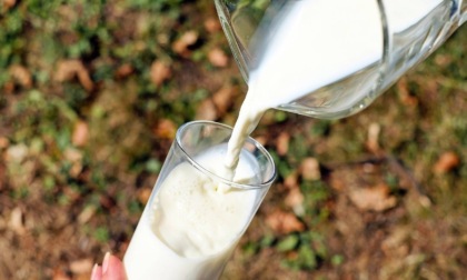 Cremona capitale del latte: giovani, innovazione e territorio al centro della Giornata Mondiale del Latte