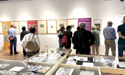 I musei da visitare gratis a Cremona e provincia domenica 1 giugno 2025