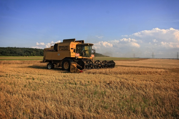 Anche in provincia di Cremona fondi alle aziende agricole per progetti ambientali