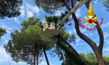 Maltempo in Romagna: in aiuto anche i Vigili del Fuoco di Cremona