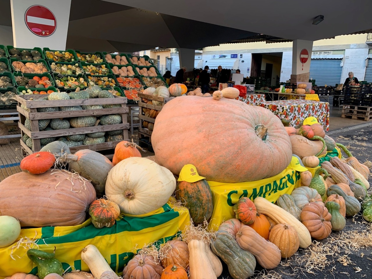Festa della zucca, al mercato di Campagna Amica di Crema la zucca è protagonista