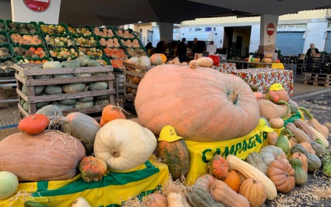 Festa della zucca, al mercato di Campagna Amica di Crema la zucca è protagonista