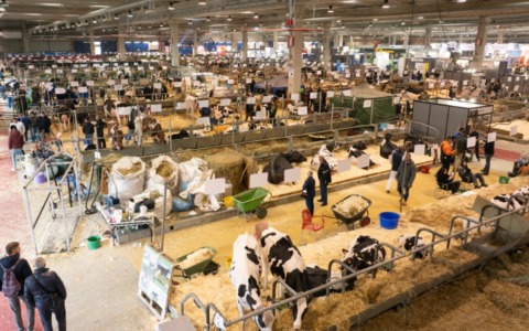 Fiere Zootecniche Internazionali 2025: Cremona celebra 80 anni di innovazione e tradizione