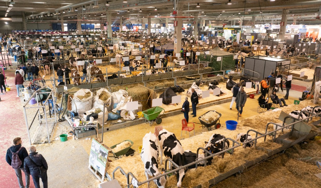 Fiere Zootecniche Internazionali 2025: Cremona celebra 80 anni di innovazione e tradizione