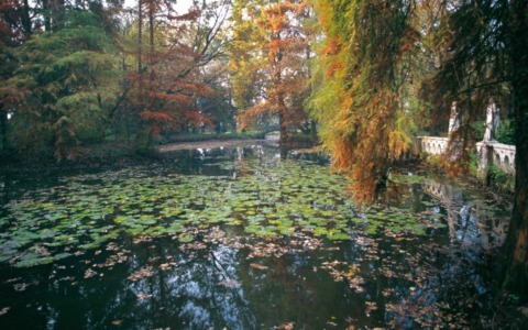 Cosa fare a Cremona e provincia nel weekend: eventi di sabato 1 e domenica 2 novembre 2025