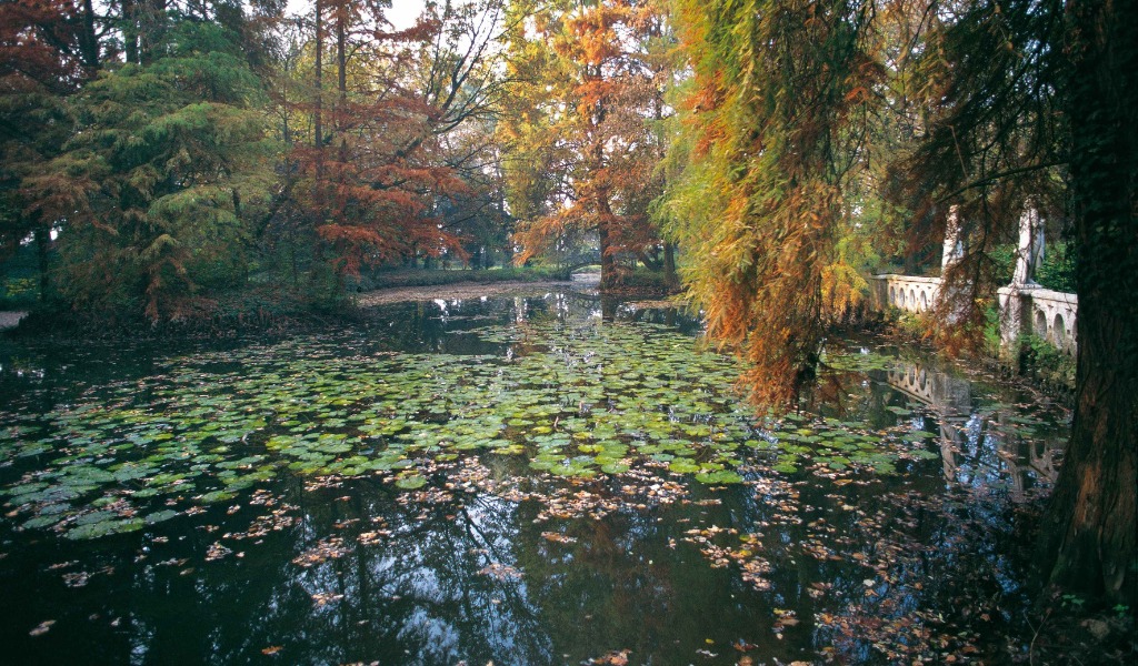 Cosa fare a Cremona e provincia nel weekend: eventi di sabato 1 e domenica 2 novembre 2025