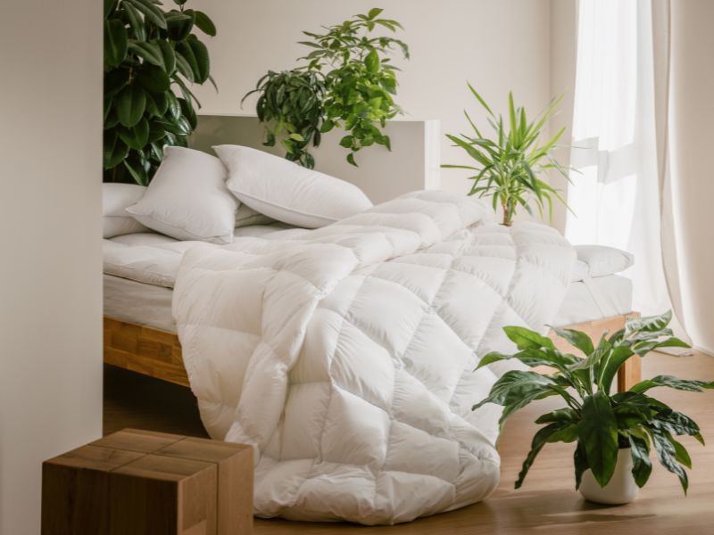 Tradizione tessile e innovazione: il metodo Dreamin*101 per un riposo consapevole