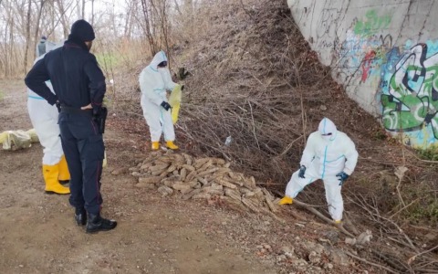 Circa 600 salami abbandonati nel Cremonese: maxi multa per azienda locale