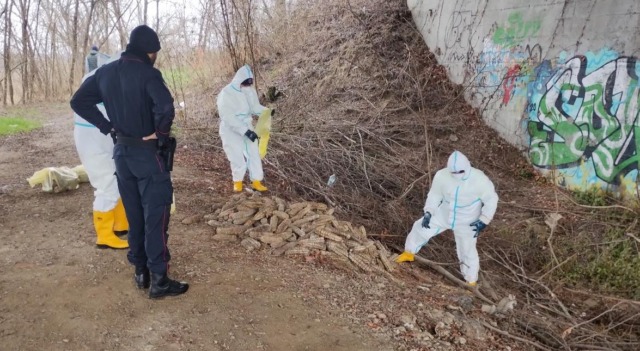 Circa 600 salami abbandonati nel Cremonese: maxi multa per azienda locale