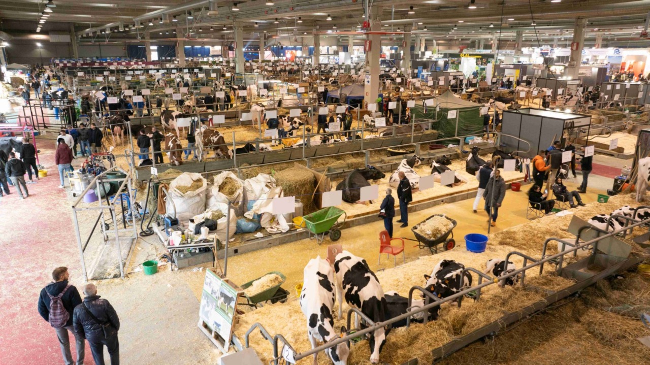 Tutto pronto per l’80ª edizione delle Fiere Zootecniche: a Cremona la più completa vetrina espositiva del settore