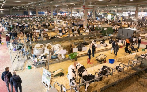 Tutto pronto per l’80ª edizione delle Fiere Zootecniche: a Cremona la più completa vetrina espositiva del settore