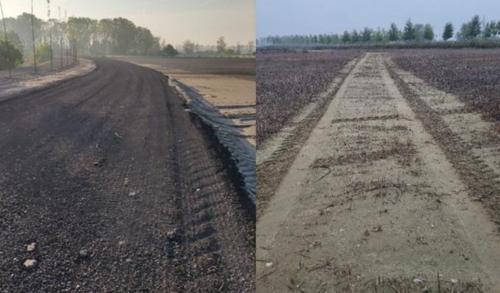 Quasi un chilometro di strada abusiva vicino al Po: denunciato titolare impresa agricola
