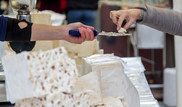 Cosa fare a Cremona e provincia nel weekend: eventi di sabato 8 e domenica 9 novembre 2025