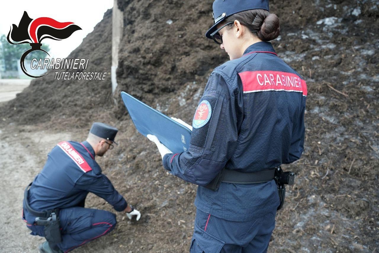 Le operazioni di sequestro da parte dei carabinieri