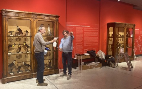 Più sicurezza al Museo di Storia Naturale: installate pellicole antisfondamento sulle vetrine storiche