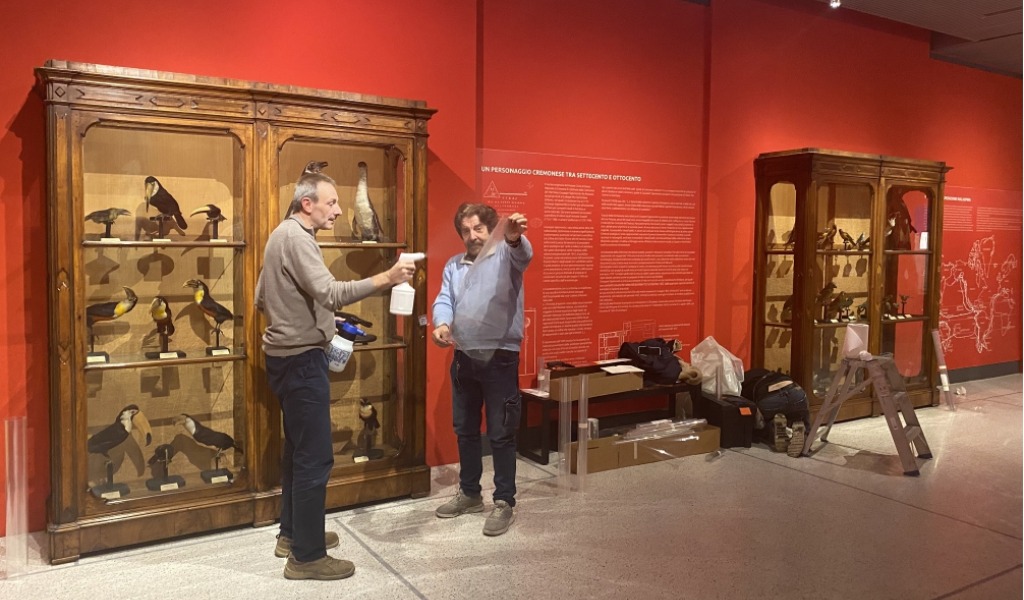 Più sicurezza al Museo di Storia Naturale: installate pellicole antisfondamento sulle vetrine storiche