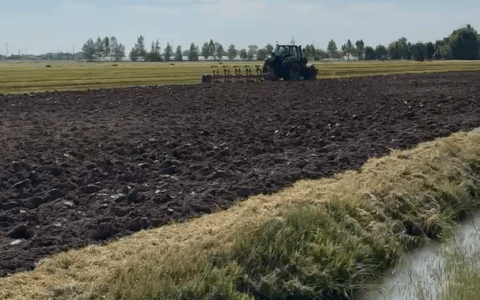 Anche in provincia di Cremona a rischio i prati da foraggio: un simbolo dell’agricoltura lombarda minacciato dalle colture intensive 
