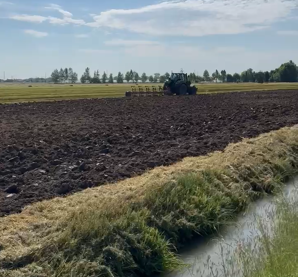 Anche in provincia di Cremona a rischio i prati da foraggio: un simbolo dell’agricoltura lombarda minacciato dalle colture intensive 