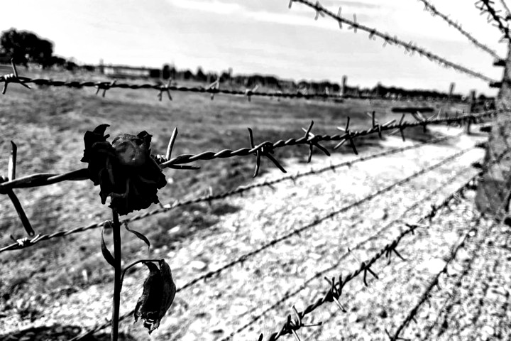 Giornata della Memoria: al Ponchielli un incontro su “I sommersi e i salvati”