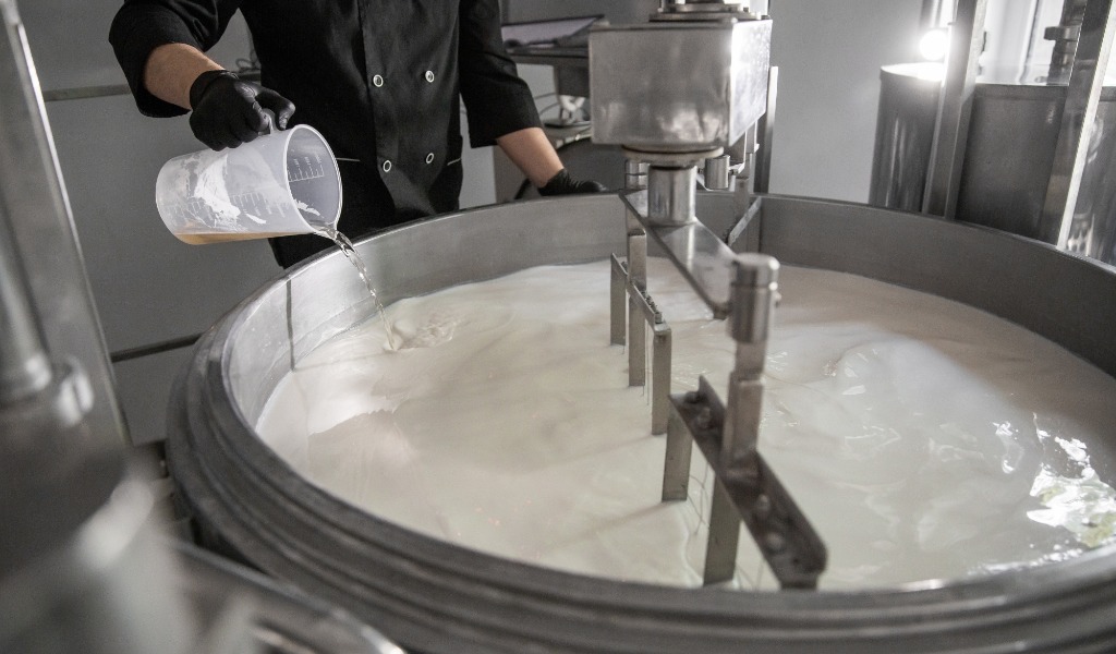 Si cercano lavoratori per la filiera lattiero casearia: al via formazione gratuita e inserimento nei caseifici