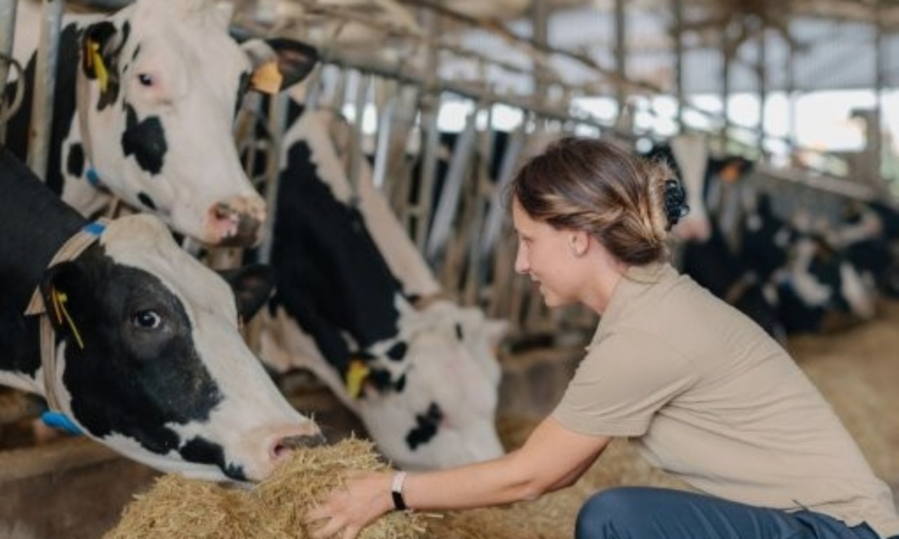 Innovazione nutrizionale per la vacca da latte nel comparto cremonese