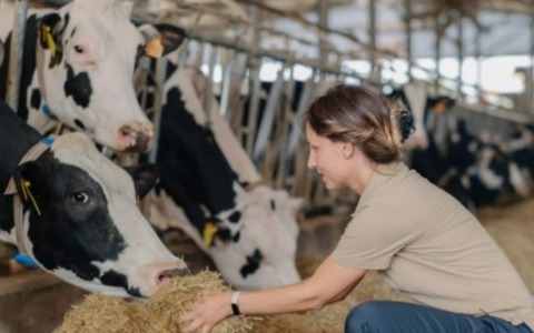 Innovazione nutrizionale per la vacca da latte nel comparto cremonese