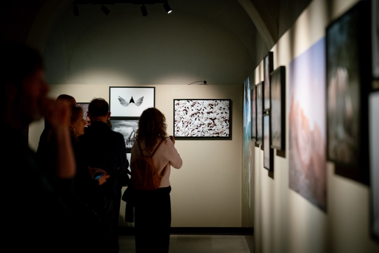 Cosa fare a Cremona e provincia nel weekend: eventi di sabato 14 e domenica 15 marzo 2026