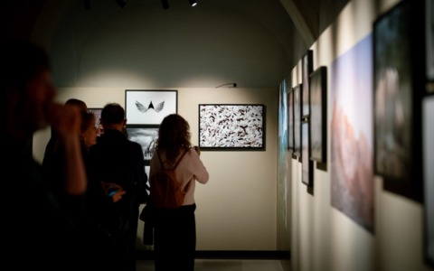 Cosa fare a Cremona e provincia nel weekend: eventi di sabato 14 e domenica 15 marzo 2026