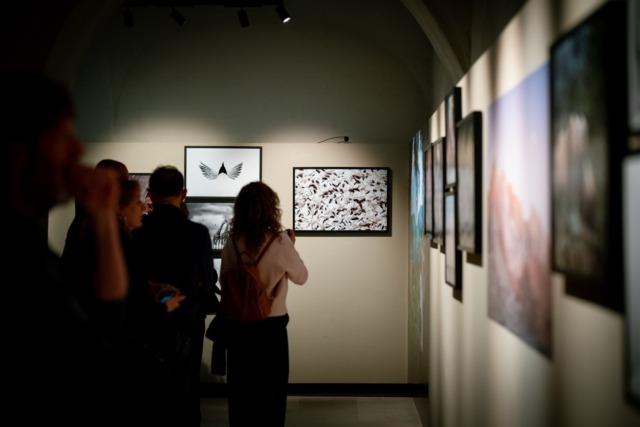 Cosa fare a Cremona e provincia nel weekend: eventi di sabato 14 e domenica 15 marzo 2026