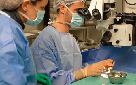 L’Ospedale di Cremona all’avanguardia nei trapianti di cornea: 50 interventi in un anno