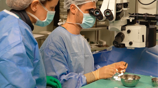 L’Ospedale di Cremona all’avanguardia nei trapianti di cornea: 50 interventi in un anno