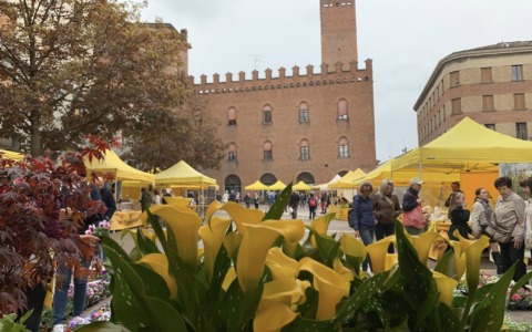 Coldiretti in piazza Stradivari: mercato e prevenzione per la festa dell’8 marzo