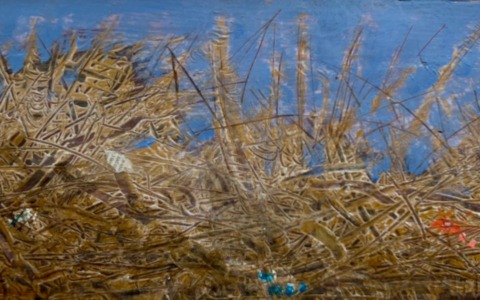 Pasqua d’Arte a Casalmaggiore: porte aperte gratuitamente al Museo Diotti