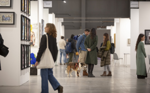Cosa fare a Cremona e provincia nel weekend: eventi di sabato 9 e domenica 10 maggio 2026