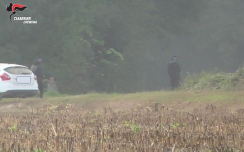 Smantellata la banda degli spacciatori nei campi di mais attorno a Cremona