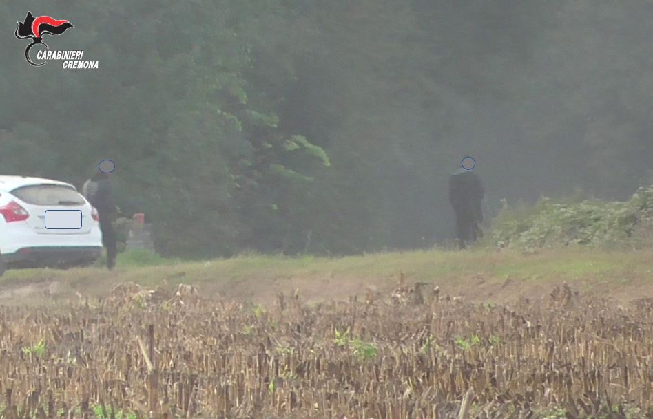 Smantellata la banda degli spacciatori nei campi di mais attorno a Cremona