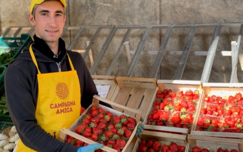 Mercato di Campagna Amica a Crema: una mattinata dedicata ai frutti rossi del territorio