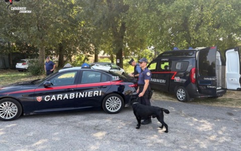 Controlli straordinari nel Casalasco: maxi blitz tra parchi, strade e locali. Due denunce e un segnalato