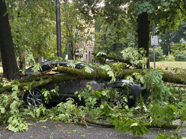 Maltempo su Cremona, alberi caduti e tetti scoperchiati: 125 interventi dei Vvf in poche ore