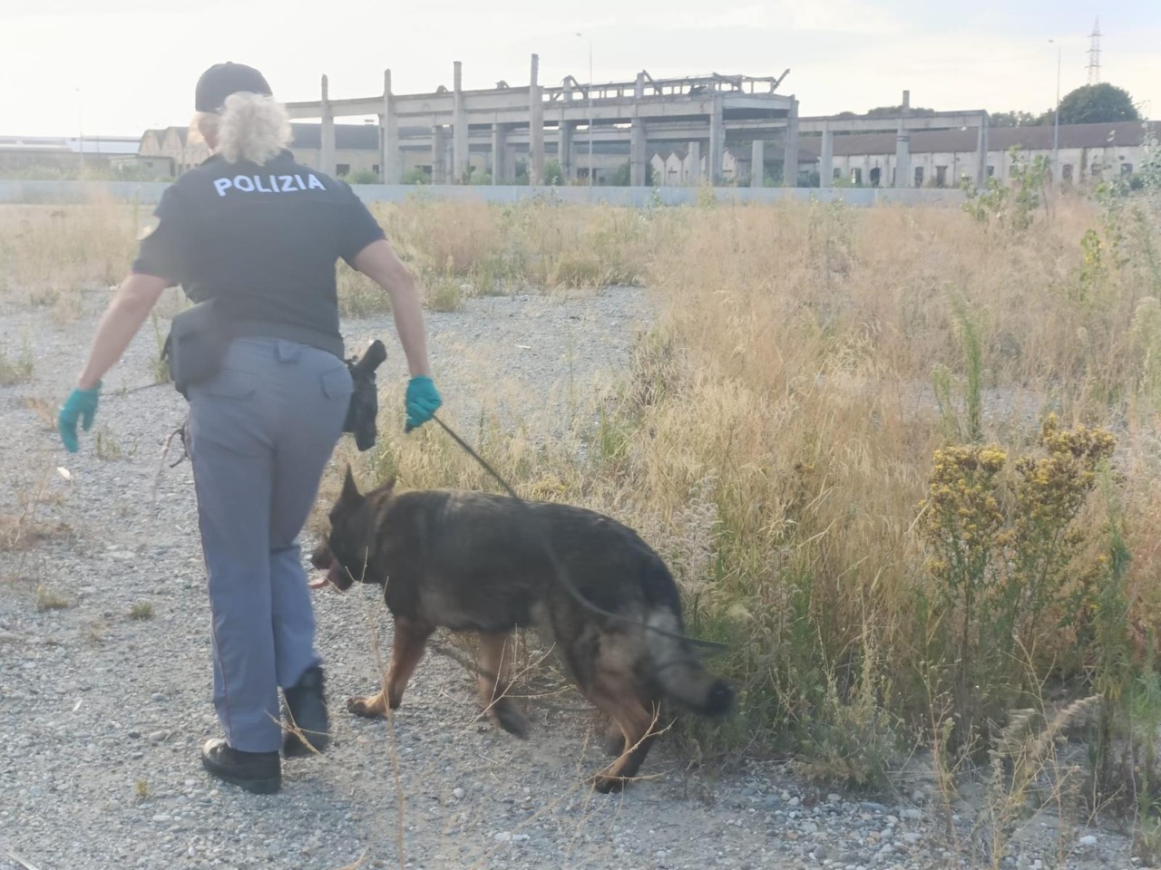 Sicurezza a Crema, 185 persone controllate: scattano denunce, sanzioni e un’espulsione