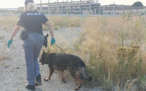 Sicurezza a Crema, 185 persone controllate: scattano denunce, sanzioni e un’espulsione