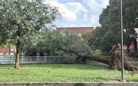 Tromba d’aria a Cremona, danni ingenti in città: alberi abbattuti e edifici danneggiati