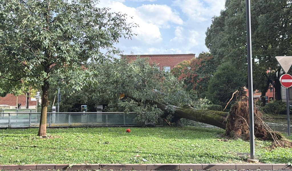 Tromba d’aria a Cremona, danni ingenti in città: alberi abbattuti e edifici danneggiati