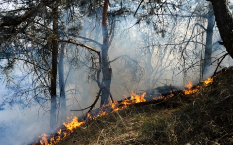 Incendi boschivi: in Lombardia è codice arancione, massima prudenza anche nel Cremonese