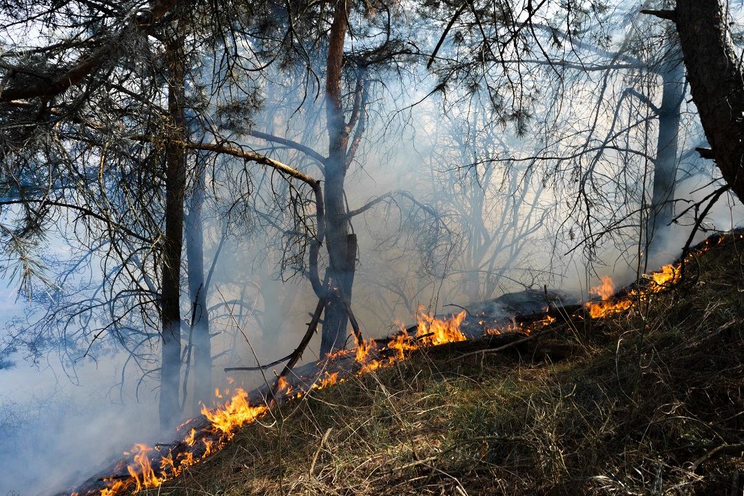 Incendi boschivi: in Lombardia è codice arancione, massima prudenza anche nel Cremonese