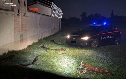 Tentato furto di rame al cimitero di Moscazzano: l’intervento dei Carabinieri sventa il colpo